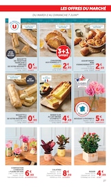 Promos Terreau dans le catalogue "U Express" de U Express Terreau en promo dans le catalogue U Express à la page 27