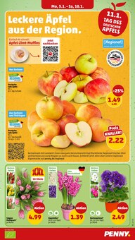 Pflanzen im Penny Prospekt "Wer günstig will, muss Penny." mit 50 Seiten (Chemnitz)