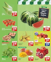 Tomaten im famila Nordost Prospekt in Celle Aktueller famila Nordost Prospekt mit Tomaten, "besser als gut!", Seite 4