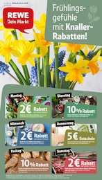 REWE Prospekt "Dein Markt" für Bad Münder, 26 Seiten, 07.04.2026 - 11.04.2026