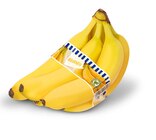 Bananen für 1,19 € bei Penny-Markt im Angebot Bananen im aktuellen Penny-Markt Prospekt