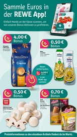 Tierfutter im REWE Prospekt in Offenbach Aktueller REWE Prospekt mit Tierfutter, "Dein Markt", Seite 2