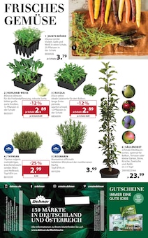 Salat im Dehner Garten-Center Prospekt "Aktuelle Angebote" mit 16 Seiten (Duisburg)