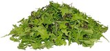Bio Crispy Salatmix bei REWE im Oerlinghausen Prospekt für 1,00 €