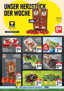 Paprika im E center Prospekt "Wir lieben Lebensmittel!" mit 28 Seiten (Dresden)