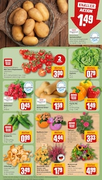 Heide Angebot & Preis im aktuellen REWE Prospekt Heide Angebot im aktuellen REWE Prospekt auf Seite 9