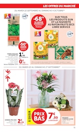Promos Fruits Secs dans le catalogue "U Express" de U Express Fruits Secs en promo dans le catalogue U Express à la page 31