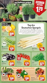 Ähnliche Angebote wie Heckenpflanzen im Prospekt "Dein Markt" auf Seite 7 von REWE in Freiburg