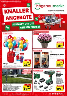 Aktueller Hagebaumarkt Prospekt "KNALLERANGEBOTE" Seite 1 von 8 Seiten für Heide