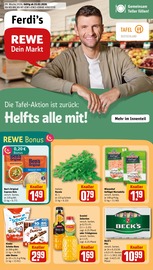 REWE Discounter Prospekt der aktuellen Woche mit 34 Seiten, gültig von 23.02.2026 bis 28.02.2026, in Dahlem und Umgebung Aktueller REWE Discounter Prospekt in Dahlem und Umgebung, "Dein Markt" mit 34 Seiten, 23.02.2026 - 28.02.2026
