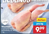 Wachteln im aktuellen Netto Marken-Discount Prospekt