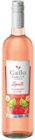 Netto Marken-Discount - Spritz Angebot im Prospekt Spritz bei Netto Marken-Discount im Prospekt "" für 4,49 €