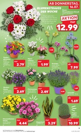 Garten im Kaufland Prospekt in Aschaffenburg Aktueller Kaufland Prospekt mit Garten, "Hier bin ich richtig", Seite 14