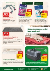 Valise Angebote im Prospekt "JOYEUSES PROMOS" von Maxi Zoo auf Seite 8