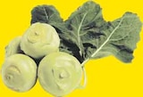 WEZ Hille - Deutscher Kohlrabi Angebot im Prospekt Deutscher Kohlrabi bei WEZ im Hille Prospekt für 0,69 €