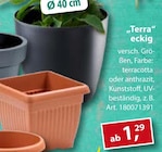 Terra eckig im Angebot bei Sonderpreis Baumarkt in Lingen Terra eckig Angebote bei Sonderpreis Baumarkt Lingen für 1,29 €