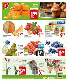 Erdbeeren im EDEKA Prospekt "Wir lieben Lebensmittel." mit 30 Seiten (Regensburg)