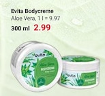 Bodycreme Aloe Vera Angebote von Evita bei GLOBUS Oberhausen für 2,99 €