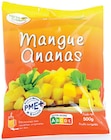 Mélange mangue et ananas surgelés - FRESH CUEILLETTE en promo à 3,29 € chez Intermarché Super Mélange mangue et ananas surgelés - FRESH CUEILLETTE dans le catalogue Intermarché Super