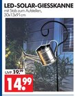 Aktuelle LED-Lampe Angebote bei Wreesmann in Dresden Aktuelles LED-SOLAR-GIESSKANNE Angebot bei Wreesmann in Dresden ab 14,99 €