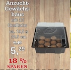 Anzucht-Gewächshaus Angebote bei Garten-Center Nordharz GmbH & Co. KG Kassel für 5,29 €