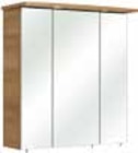 Aktuelle Bad-Spiegelschrank Angebote bei Zurbrüggen in Bielefeld Aktuelles Spiegelschrank Angebot bei Zurbrüggen in Bielefeld ab 169,00 €