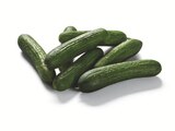 Lidl - Bauerngurken Angebot im Prospekt Bauerngurken bei Lidl im Prospekt "LIDL lohnt sich" für 1,99 €