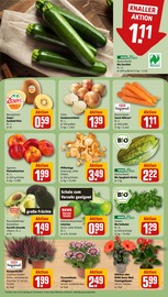 Pfifferlinge im REWE Prospekt in Frechen Aktueller REWE Prospekt mit Pfifferlinge, "Dein Markt", Seite 9