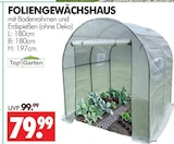 Foliengewächshaus im Angebot bei Wreesmann in Stade Foliengewächshaus Angebote von Top Garden bei Wreesmann Stade für 79,99 €