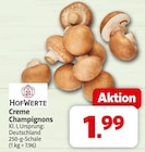 nah&frisch Merzen - Creme Champignons Angebot im Prospekt Creme Champignons bei nah&frisch im Merzen Prospekt für 1,99 €