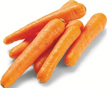 Bio-Speisemöhren bei Netto Marken-Discount in Bremerhaven Bio-Speisemöhren im Angebot bei Netto Marken-Discount Bremerhaven für 0,99 €