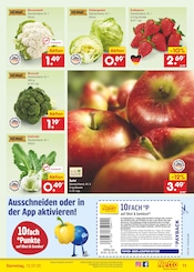 Aktueller Netto Marken-Discount Prospekt mit Äpfel, "Aktuelle Angebote", Seite 13