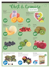 V-Markt Orangen im Prospekt 