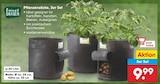 Pflanzensäcke von Living Garden im aktuellen Netto Marken-Discount Prospekt für 9,99 €