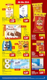 Aktueller Lidl Prospekt mit Katzenstreu, "LIDL LOHNT SICH", Seite 15