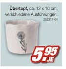 Übertopf Angebote bei Möbel AS Rottenburg für 5,95 €