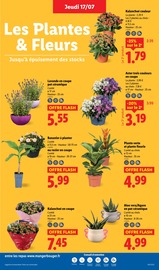 Prospectus Lidl "Fan de l'été" en cours à Tours, Page 29 Catalogue Lidl en cours à Tours, "Fan de l'été", Page 29