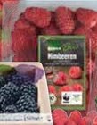 Himbeeren von Edeka Bio im aktuellen Marktkauf Prospekt