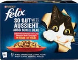 Aktuelle Katzenfutter Angebote bei Netto Marken-Discount in Nürnberg Aktuelles Katzennahrung Mutipack Angebot bei Netto Marken-Discount in Nürnberg ab 4,59 €