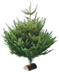 SAPIN NORDMANN COUPÉ 125/150 CM AVEC BÛCHE OFFERTE à Intermarché dans Ermont SAPIN NORDMANN COUPÉ 125/150 CM AVEC BÛCHE OFFERTE à Intermarché dans Ermont