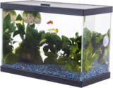 Aquarium "Fresh 35 start" PURE FAMILY à Jardiland dans Saint-Denis