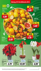 Glas im Lidl Prospekt in Nürnberg Aktueller Lidl Prospekt mit Glas, "LIDL LOHNT SICH", Seite 7