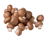 Bio-Champignons braun im tegut Prospekt Bio-Champignons braun von Naturland tegut... im aktuellen tegut Prospekt für 1,99 €