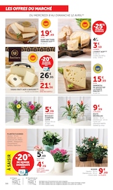 Promos Plantes dans le catalogue "Super U" de Super U Plantes en promo dans le catalogue Super U à la page 44