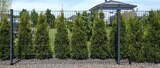 Zaunpfosten Angebote bei Hagebaumarkt Osnabrück für 29,99 €