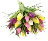 Aktuelle Tulpen Angebote bei REWE in Bottrop Aktuelles Tulpenstrauß Lollipop Angebot bei REWE in Bottrop ab 3,79 €