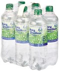 REWE Lebach - Mineralwasser Angebot im Prospekt Mineralwasser bei REWE im Lebach Prospekt für 2,70 €
