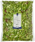 Aktuelle Salat Angebote bei METRO in Duisburg Aktuelles Salatmischung Angebot bei METRO in Duisburg ab 9,62 €
