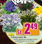 Aktuelles Frühlingsstauden-Mix Angebot bei Hornbach in Würzburg ab 2,49 €