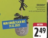 Glücksklee Angebote bei E center Bayreuth für 2,49 €